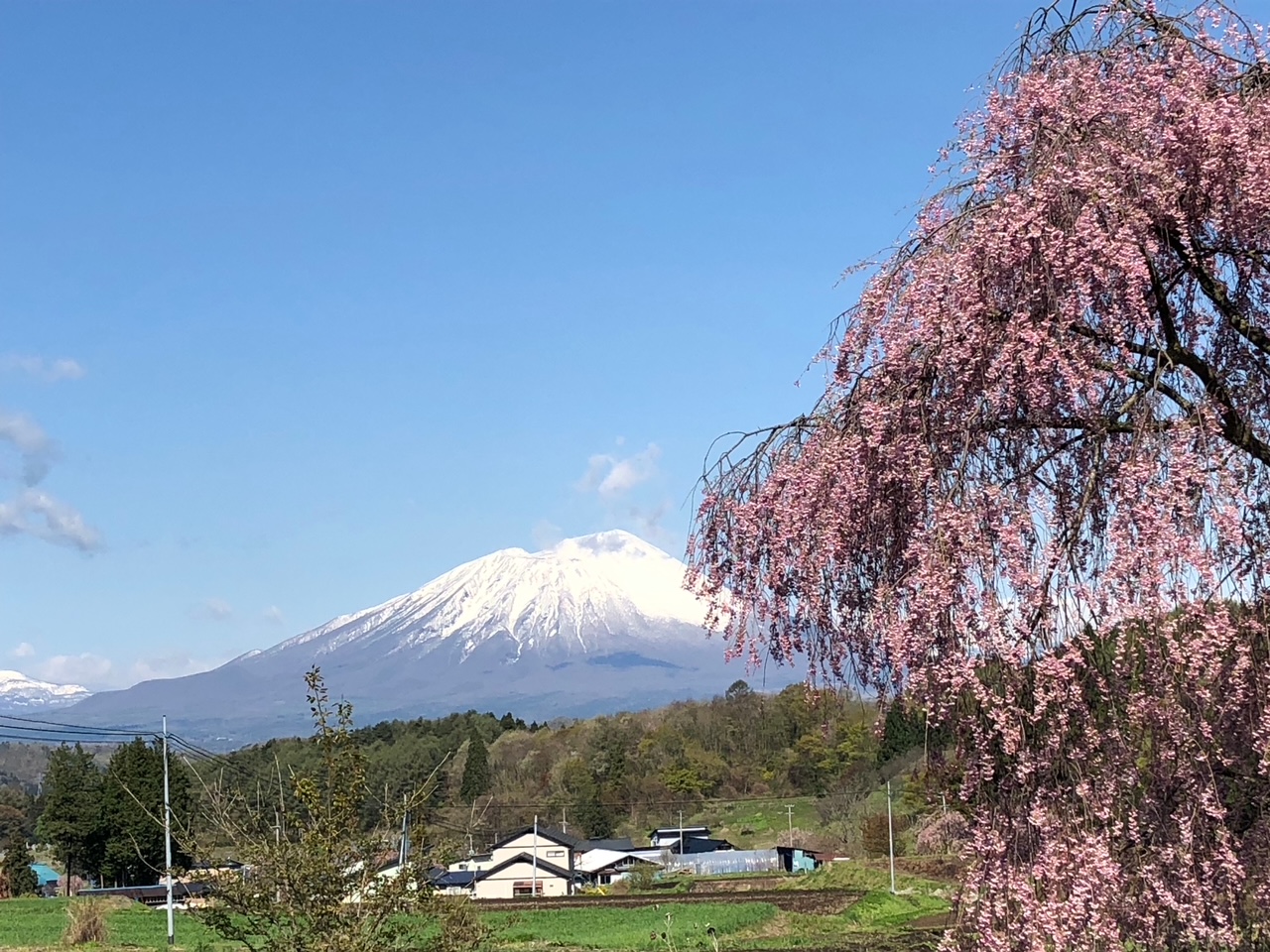 ファーム&オートキャンプ場計画予定地
